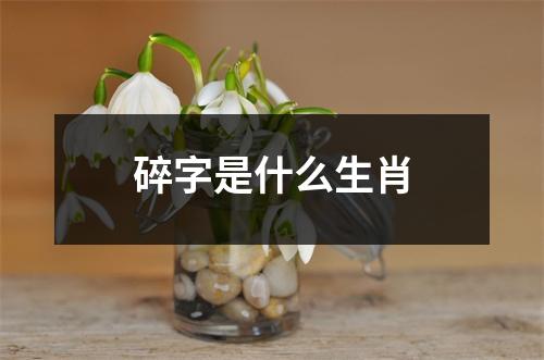 碎字是什么生肖