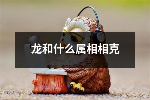 龙和什么属相相克