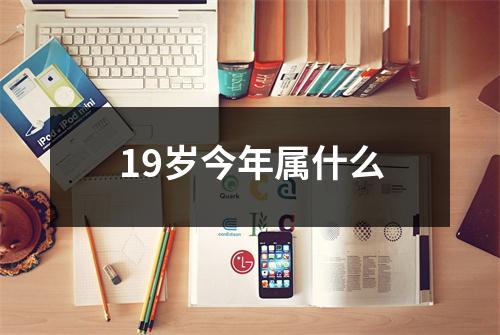 19岁今年属什么