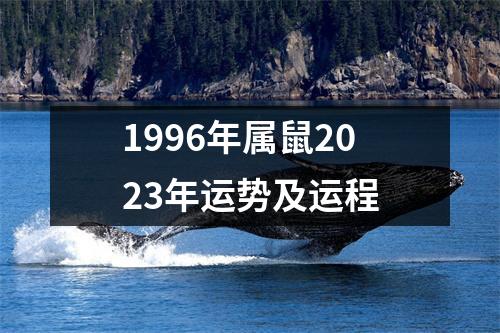 1996年属鼠2023年运势及运程