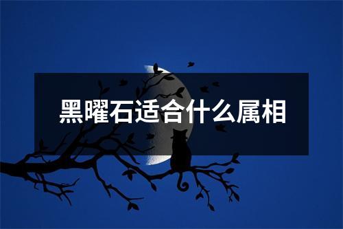 黑曜石适合什么属相