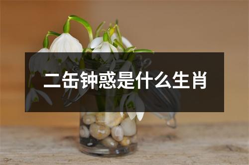 二缶钟惑是什么生肖