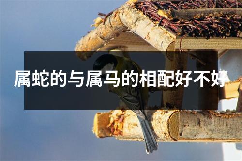 属蛇的与属马的相配好不好