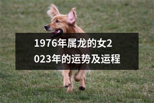 1976年属龙的女2023年的运势及运程