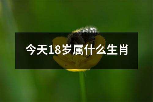 今天18岁属什么生肖