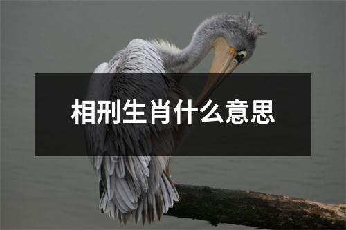 相刑生肖什么意思