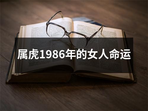 属虎1986年的女人命运