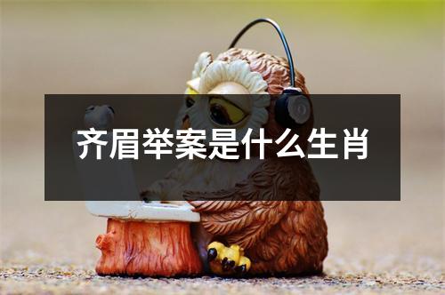 齐眉举案是什么生肖