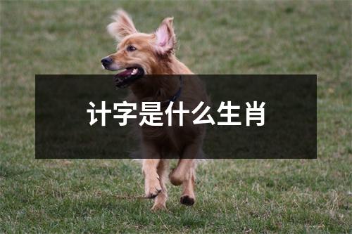 计字是什么生肖