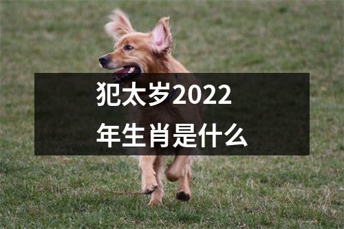 犯太岁2022年生肖是什么