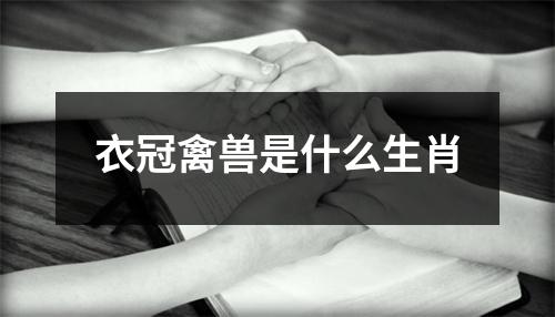 衣冠禽兽是什么生肖