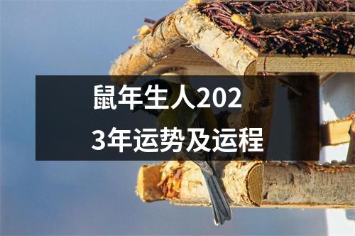 鼠年生人2023年运势及运程