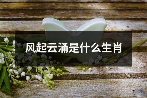 风起云涌是什么生肖