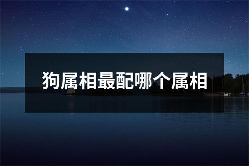 狗属相最配哪个属相