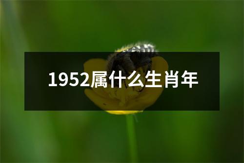 1952属什么生肖年