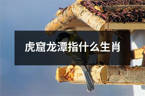 虎窟龙潭指什么生肖