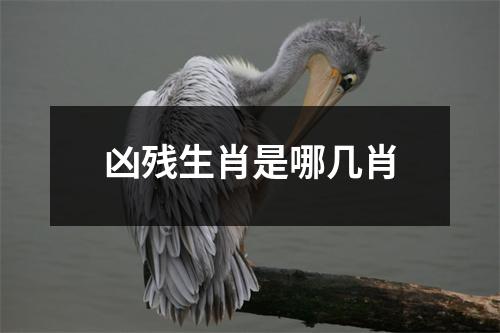 凶残生肖是哪几肖