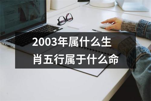 2003年属什么生肖五行属于什么命