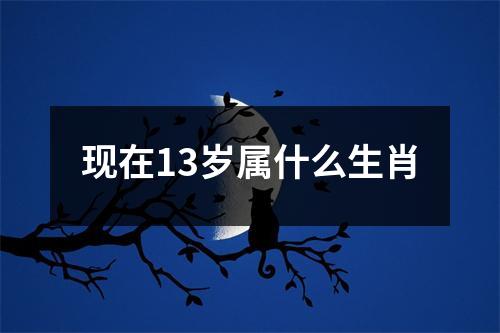 现在13岁属什么生肖