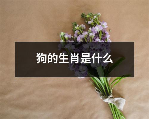 狗的生肖是什么