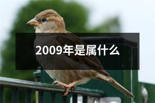 2009年是属什么