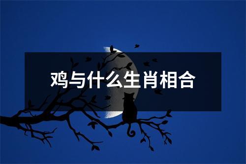 鸡与什么生肖相合