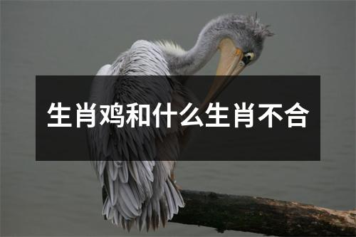 生肖鸡和什么生肖不合