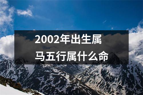 2002年出生属马五行属什么命