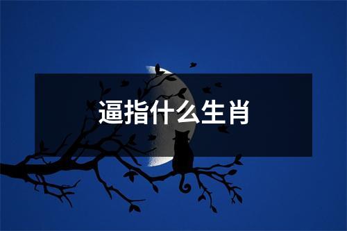 逼指什么生肖