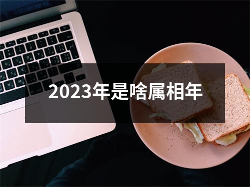 2023年是啥属相年