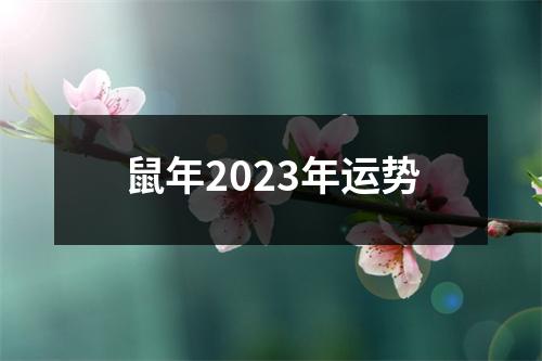 鼠年2023年运势