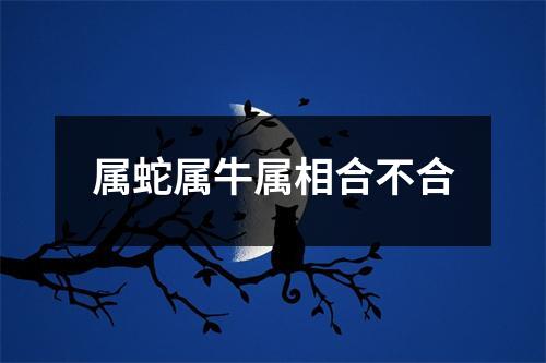 属蛇属牛属相合不合