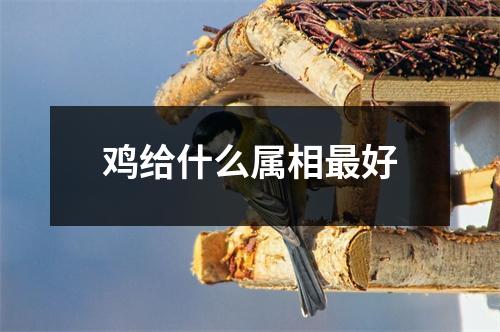 鸡给什么属相最好