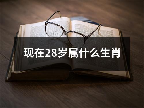 现在28岁属什么生肖