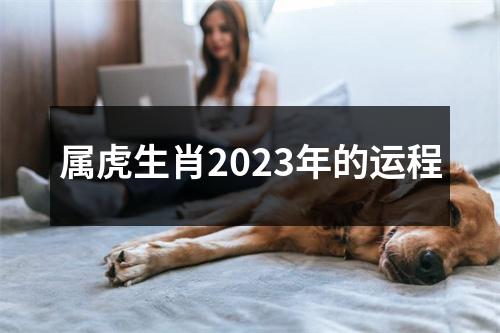 属虎生肖2023年的运程