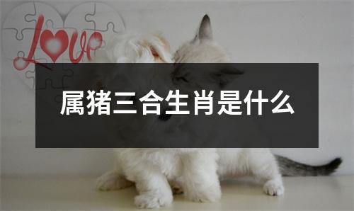 属猪三合生肖是什么