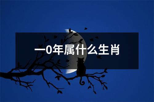 一0年属什么生肖