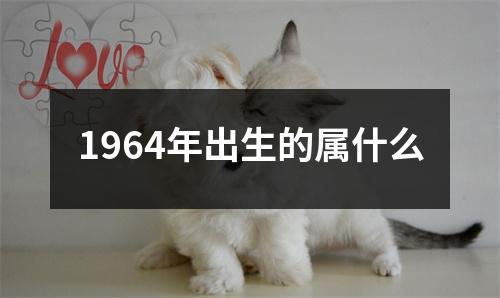 1964年出生的属什么