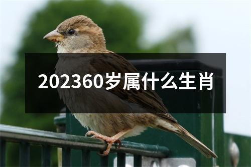 202360岁属什么生肖