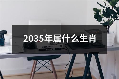 2035年属什么生肖