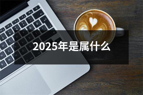 2025年是属什么