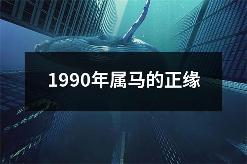 1990年属马的正缘