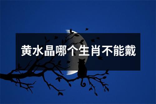 黄水晶哪个生肖不能戴