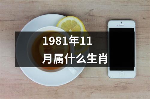 1981年11月属什么生肖