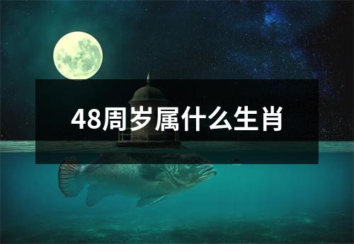 48周岁属什么生肖