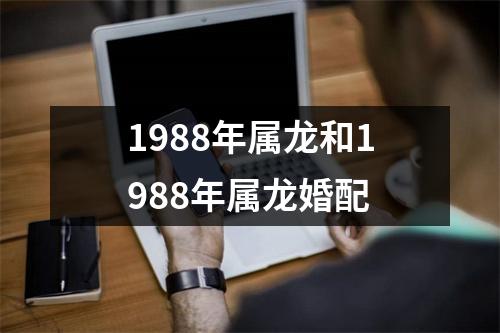 1988年属龙和1988年属龙婚配