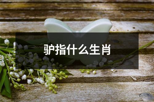 驴指什么生肖