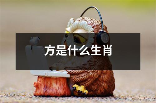 方是什么生肖