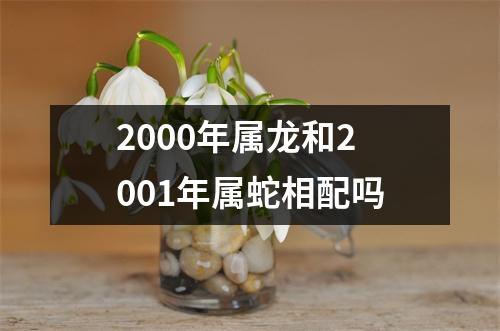 2000年属龙和2001年属蛇相配吗