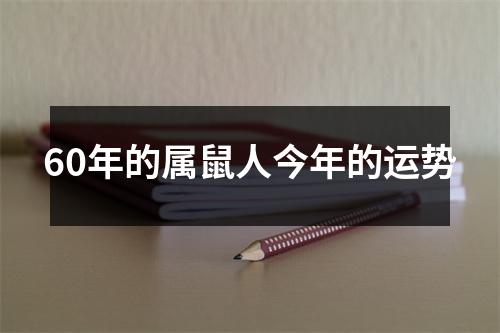 60年的属鼠人今年的运势